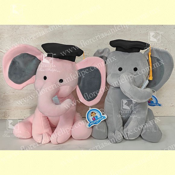 Elefante Con Birrete